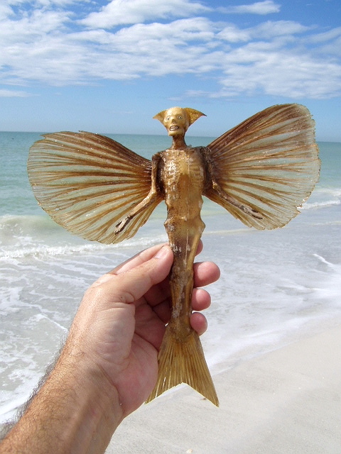 seafaerie5.jpg