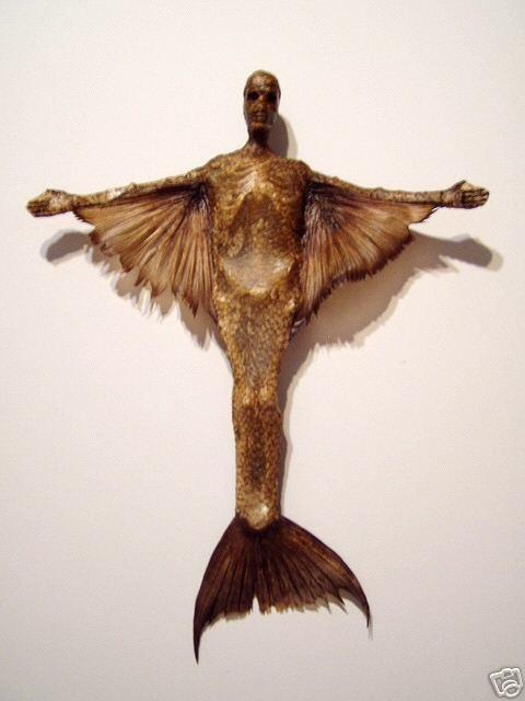 wingedmermaid3.jpg