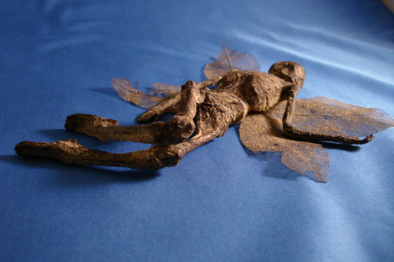 yosei1.jpg